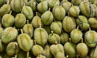 Giá sầu riêng trái vụ bất ngờ rớt mạnh, vải thiều Úc gần 5 triệu/thùng 5kg