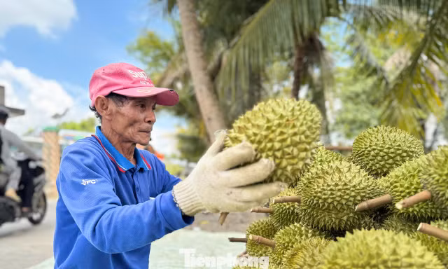 Lưu ý quan trọng về xuất khẩu nông sản sang Trung Quốc từ 1/6 