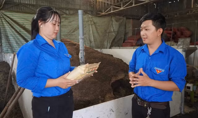 Thanh niên cần những kỹ năng thực chiến