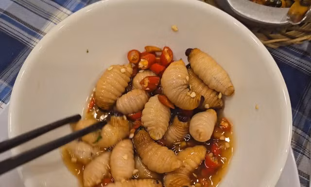 Xử lý nghiêm việc nhân nuôi, phát tán đuông dừa trái phép