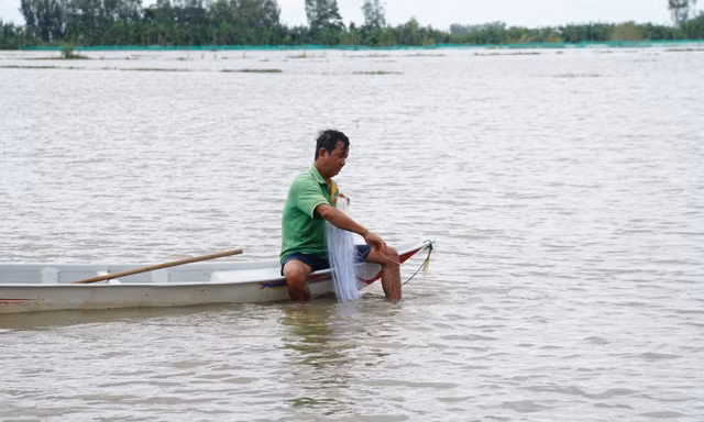 Người dân giăng lưới trên cánh đồng lũ tại Đồng Tháp.