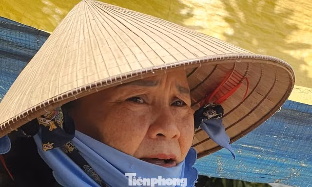 Đồng bằng sông Cửu Long 'teo tóp' trước ‘hà bá’