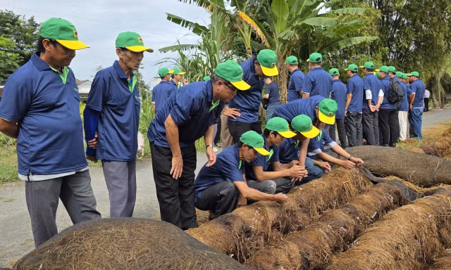 'Hồi sinh' rơm rạ cho nền nông nghiệp xanh, tăng lợi nhuận