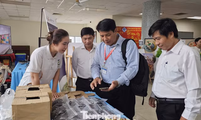 Cấp thiết trang bị kỹ năng cho thanh niên về ứng phó thiên tai, biến đổi khí hậu