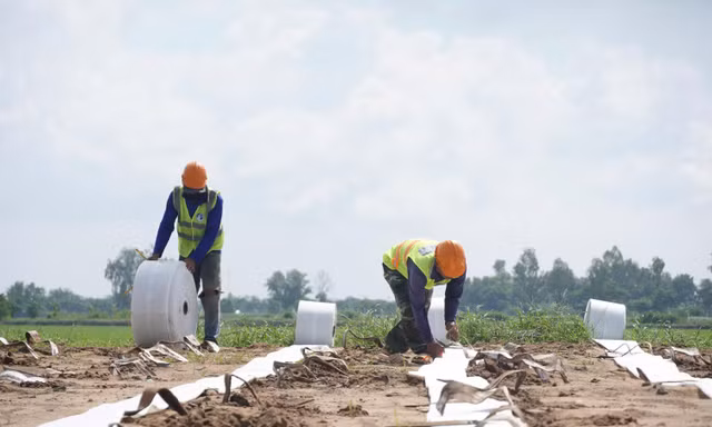 Xuyên lễ bám công trường dự án cao tốc miền Tây