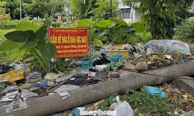 Chủ tịch UBND thành phố Cần Thơ chỉ đạo xử lý dứt điểm các điểm tồn đọng, điểm đổ rác không đúng quy định, tăng cường kiểm tra, giám sát môi trường.