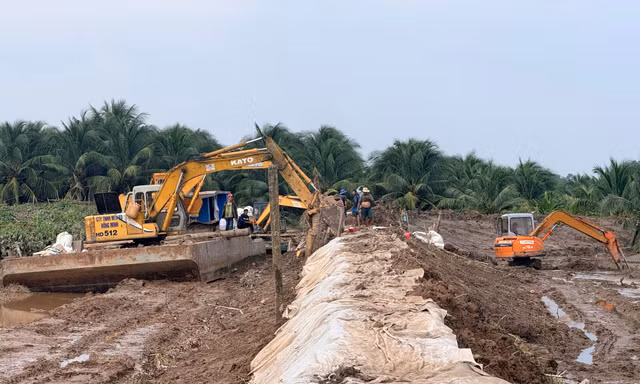 Hỗ trợ người dân bị thiệt hại do vỡ đê bao tại Vĩnh Long, khắc phục sạt lở, ổn định cuộc sống và phục hồi sản xuất nông nghiệp.