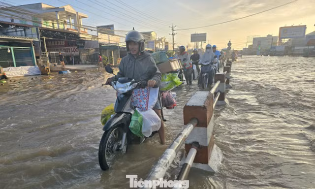 Vĩnh Long đối mặt với mực nước cao do triều cường, chính quyền khuyến cáo người dân chủ động phòng tránh ngập lụt, sạt lở...