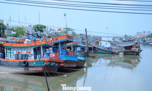 Thanh tra tỉnh Vĩnh Long phát hiện nhiều hạn chế trong quản lý tàu cá và xử lý vi phạm nhằm nâng cao hiệu quả chống khai thác IUU, hướng tới phát triển thủy sản bền vững.