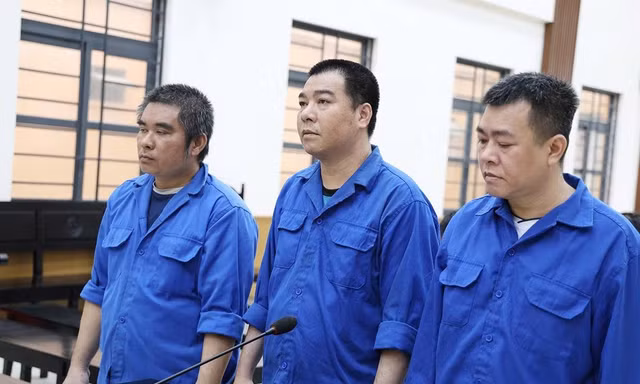 Nhóm đối tượng cướp gần 55 tấn cá tra lãnh 34 năm tù