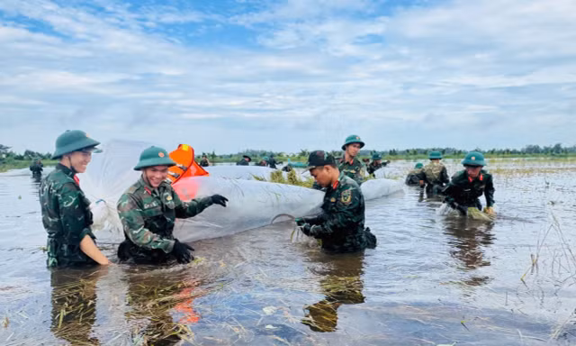 Bộ đội ngâm mình trong nước gặt lúa giúp dân chạy ngập