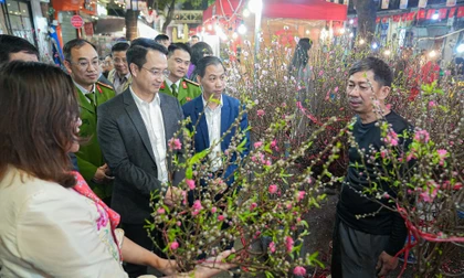 Khai mạc chợ hoa Hàng Lược: Phiên chợ trăm tuổi đón Tết Bính Ngọ