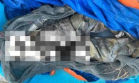 Hà Tĩnh: Phát hiện thi thể nam giới đang phân huỷ trôi dạt trên biển 