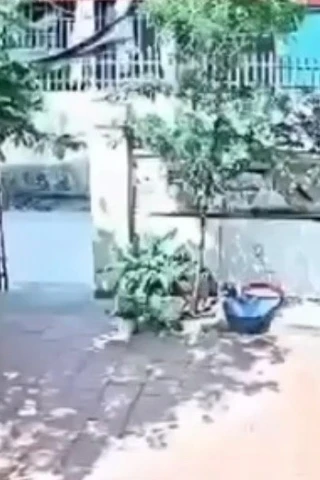 Clip thầy giáo đi xe máy tới nhà, tát liên tiếp vào mặt học sinh ở Thanh Hóa