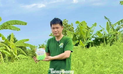 Một mô hình khởi nghiệp giảm nghèo bền vững, làm giàu tiêu biểu của thanh niên tỉnh Bắc Ninh.