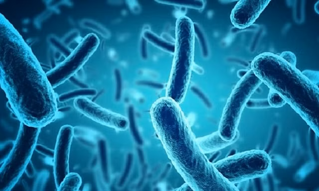 Bao quy đầu ở nam giới gây ra 37% viêm nhiễm âm đạo cho bạn tình