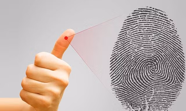 Vì sao chúng ta có dấu vân tay?