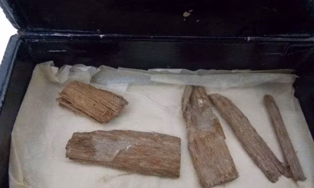 Những mảnh gỗ tuyết tùng được đựng trong hộp đựng xì gà.