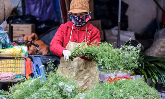 Người Hà Thành 'săn' mùi già về tắm Tất niên
