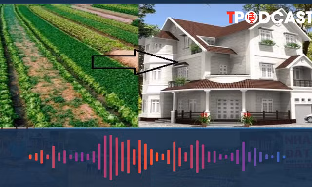 Trường hợp chuyển đất nông nghiệp sang đất ở không phải nộp tiền sử dụng đất 
