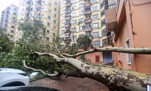 Cảnh khu đô thị, khu chung cư hoang tàn sau bão