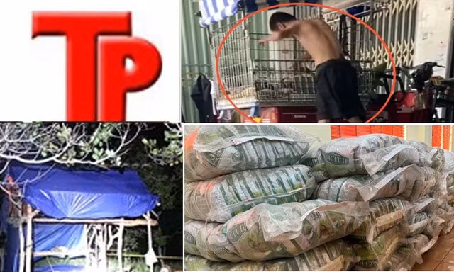 Bản tin Hình sự: Bất ngờ với hoàn cảnh của người cha đánh con trai trong lồng sắt