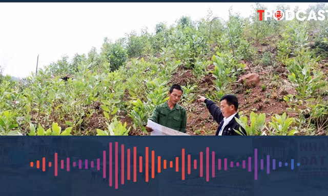 Lý do chỉ có 1 trường hợp hộ gia đình được giao đất ở theo Luật mới?