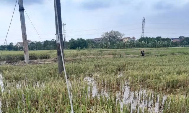 2 công nhân tử vong khi đang sửa đường dây điện
