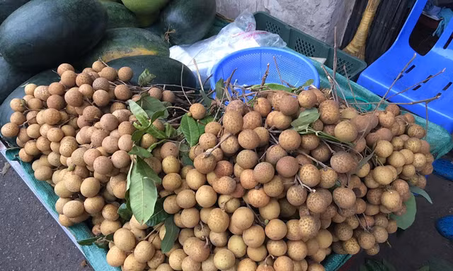 Loại nhãn quả to khủng, vỏ vàng sáng được bày bán la liệt tại chợ Hà Nội