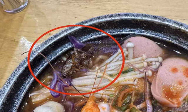 Hà Nội: Khách hoảng sợ phát hiện con gián 'phơi bụng' trong bát mỳ