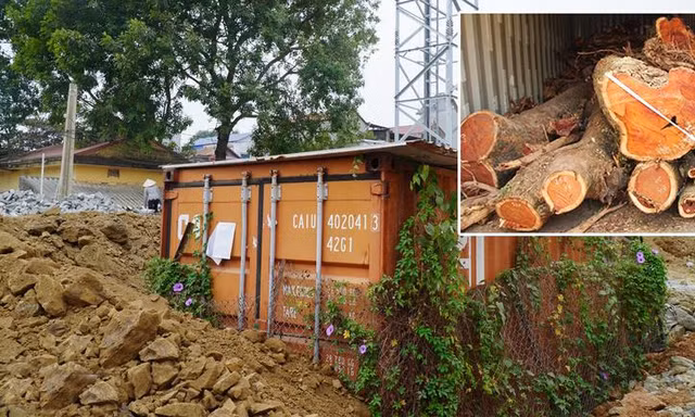 Số phận hẩm hiu của cây sưa 'trăm tỷ' 4 lần đấu giá vẫn 'ế khách' ở Hà Nội