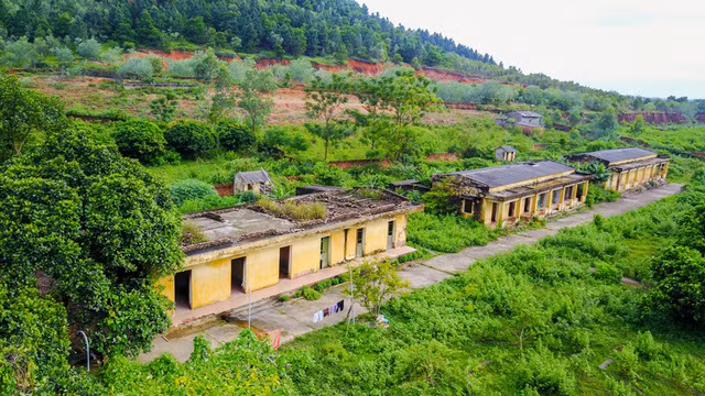 Trại phong Đá Bạc nằm giữa những ngọn đồi heo hút trên địa bàn xã Minh Phú, Sóc Sơn, Hà Nội. Năm 2013, trại được di dời đi nơi khác nhưng có 10 bệnh nhân vẫn quyết tâm ở lại. Tới đây, cảm giác cô đơn, hoang tàn hiện rõ qua những dãy nhà bỏ hoang xuống cấp