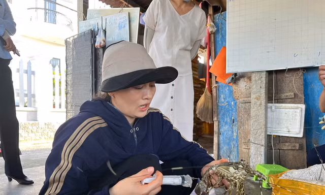 Bơm thạch rau câu, 'hô biến' tôm hùm chết thành tôm tươi