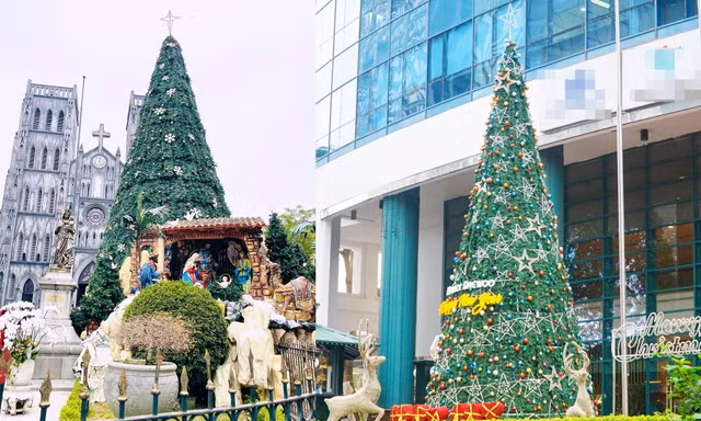  Nhìn gần những cây thông Noel 'khổng lồ' đón Giáng sinh tại Hà Nội