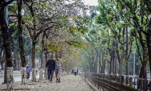 Những tuyến phố có vỉa hè đẹp ở Hà Nội