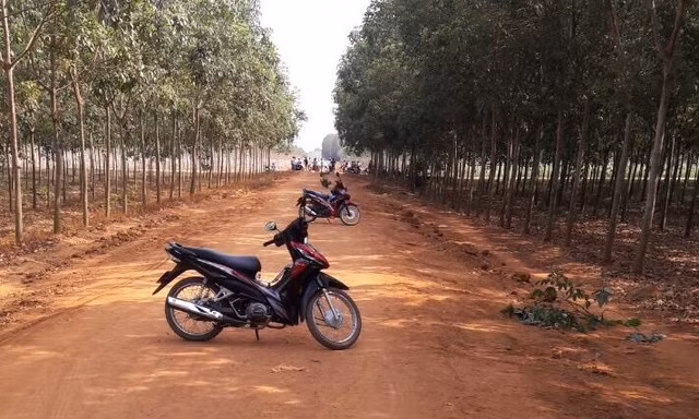Nơi phát hiện nhiều dấu vết, nghi ngờ là nơi nạn nhân bị tấn công