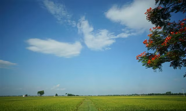 Huyện Mỹ Đức nằm phía Tây Nam thủ đô, cách trung tâm Hà Nội khoảng 40km. Nơi đây có nhiều cánh đồng rộng lớn và còn giữ lại được khá nhiều nét tự nhiên của thôn quê Bắc Bộ