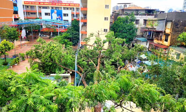 Trường học tại Hà Nội tốc mái, cây xanh đổ gãy tan hoang sau bão