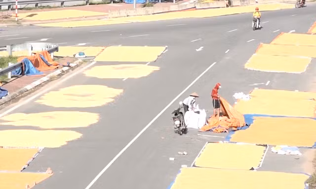 Mặt đường thành sân phơi thóc ở Hà Nội