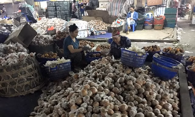 Hình ảnh cam sành Hà Giang được bọc túi nilon cùng chất bảo quản độc hại được lan truyền trên mạng xã hội