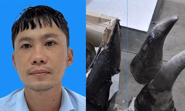 Phát hiện đường dây nhập lậu sừng tê giác, ngà voi... qua loạt công ty 'ma'