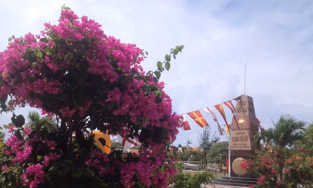 Muôn sắc hoa ở Trường Sa 