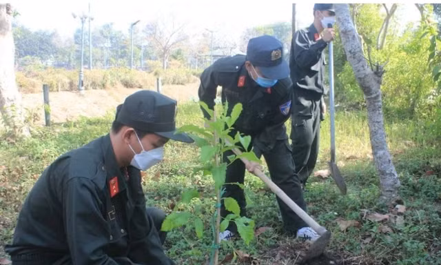 Tỉnh Đoàn Đồng Nai ra quân thực hiện Năm thanh niên tình nguyện 2024
