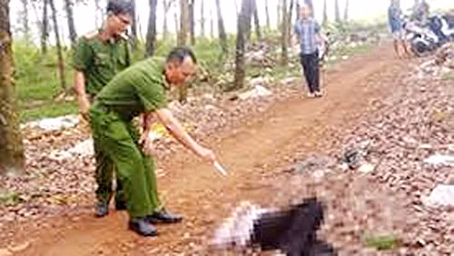 Hiện trường vụ án