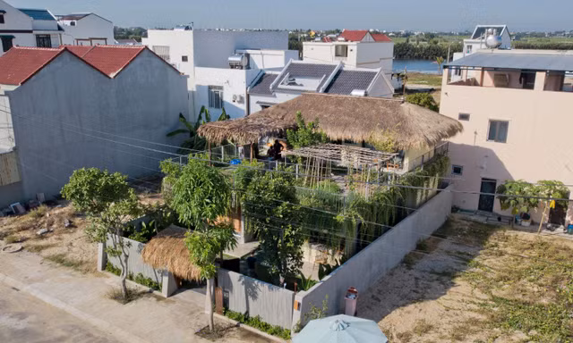 Giữa mùa dịch, gia chủ làm vườn, trồng rau trên mái nhà 