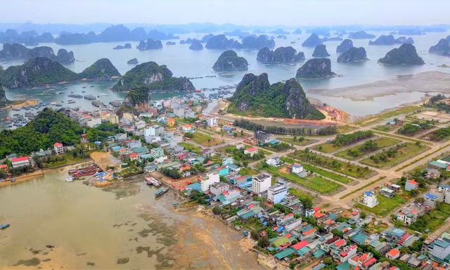 Chi tiết về loạt dự án vừa bị tỉnh Quảng Ninh 'khai tử'