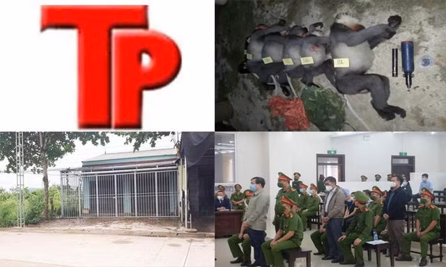 Bản tin Hình sự: Vì sao thầy lang chữa hiếm muộn bằng quan hệ tình dục không bị khởi tố?