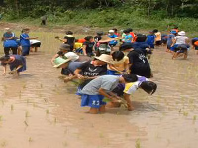 Dạy giới trẻ học làm nông
