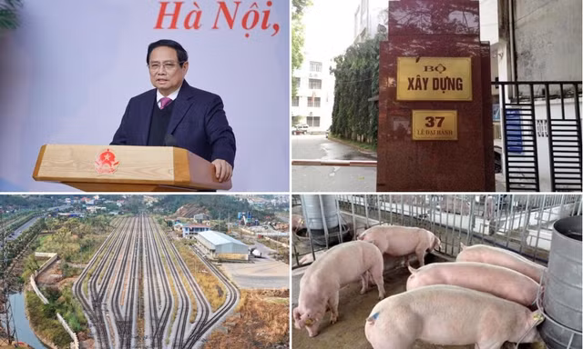 Lý do đề xuất miễn trách nhiệm người đứng đầu khi làm 'siêu dự án'