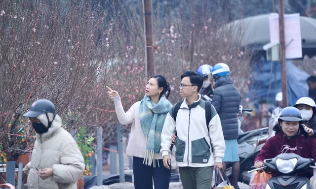 'Mỏi mắt' kiếm đào dăm, đào cành ngày rằm tháng Chạp